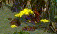 Schwefel