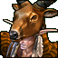 Druid Elder