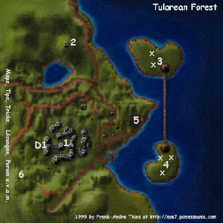 Tulareanischer Forest by Frank-Andre Thies