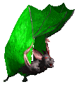 Fledermaus