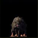 Rat.jpg (1822 Byte)