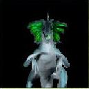 basilisk.jpg (2992 Byte)