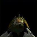 turtle.jpg (2157 Byte)