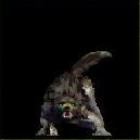 wolfe.jpg (2010 Byte)