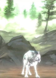 Amarok (Champion)