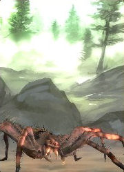 Riesenspinne