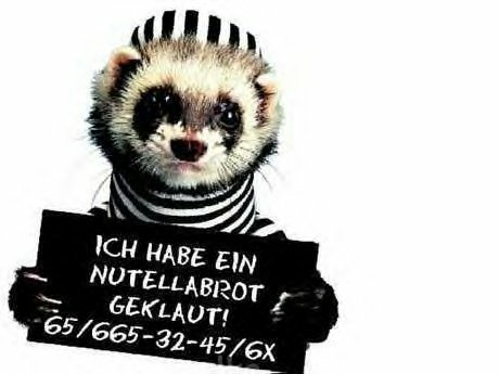 Hier herrscht Recht und Gesetz *gg