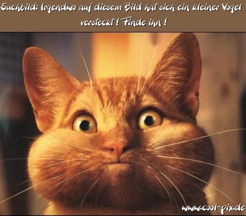 Dann sucht mal schön...