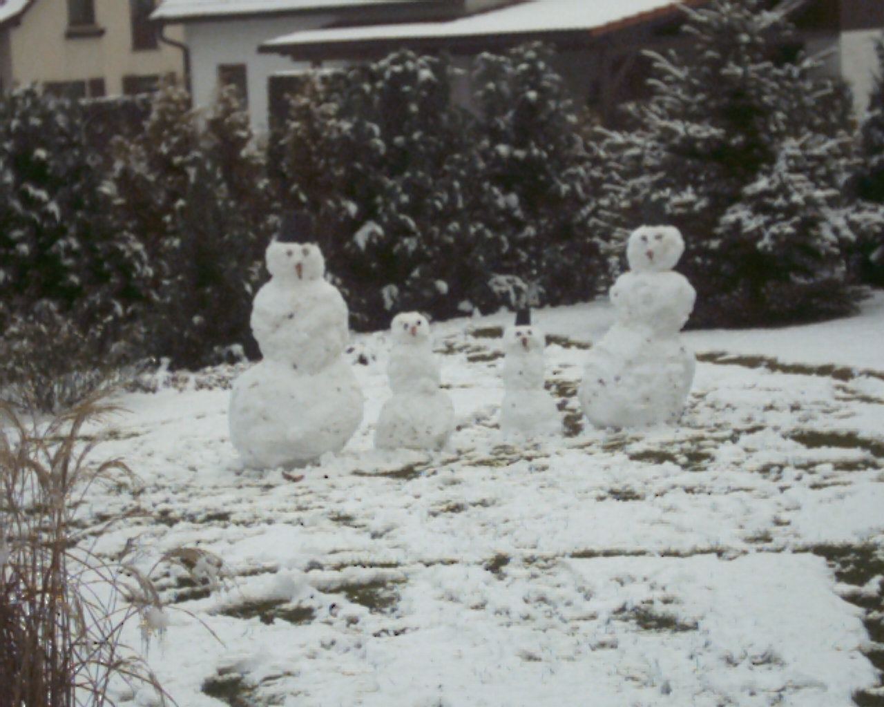 Vier Schneemänner im Garten