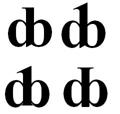 dongbats.jpg